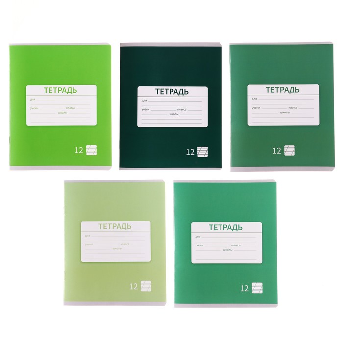 тетрадь в косую линейку calligrata однотонная. школьная 12л