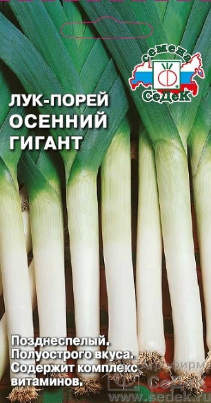 лук порей осенний гигант 1г (позд)