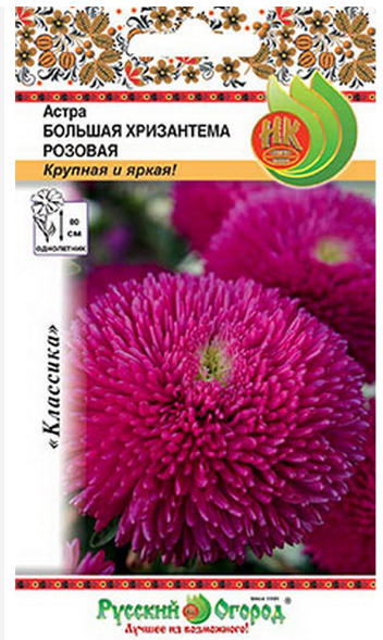 астра большая хризантема розовая 50шт (80см)
