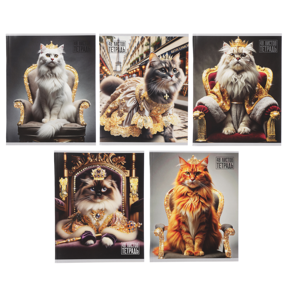 тетрадь в клетку clipstudio царские котики 5 диз 48л