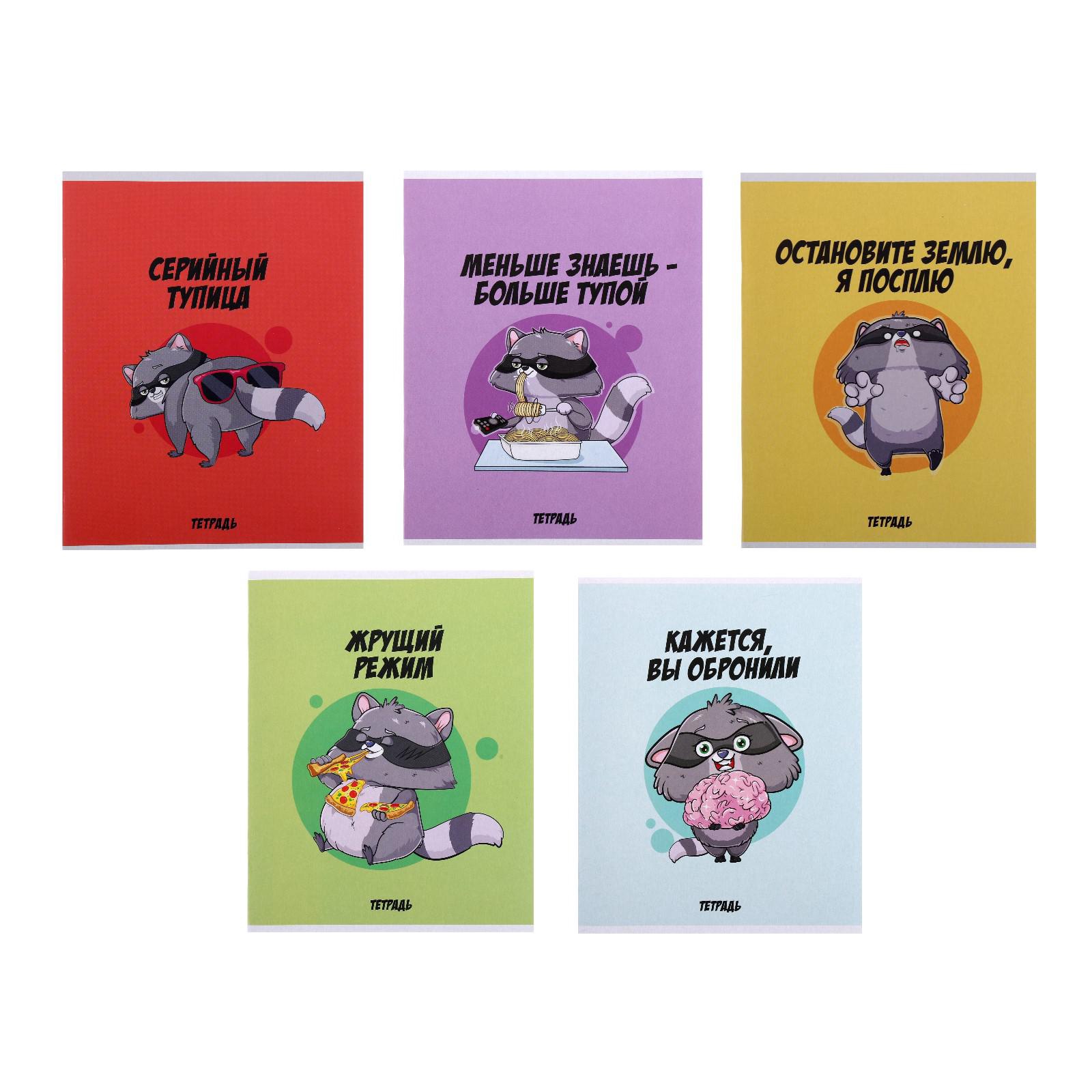 тетрадь в клетку дерзкий енот 5вид микс 48л