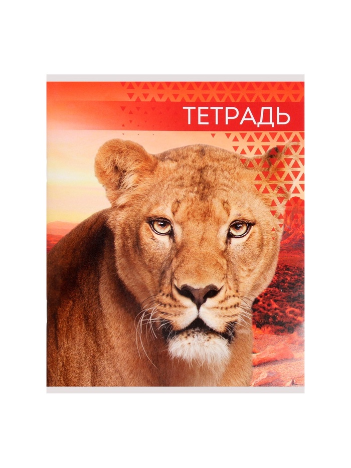 тетрадь в линию дикие кошки 4вид микс 48л