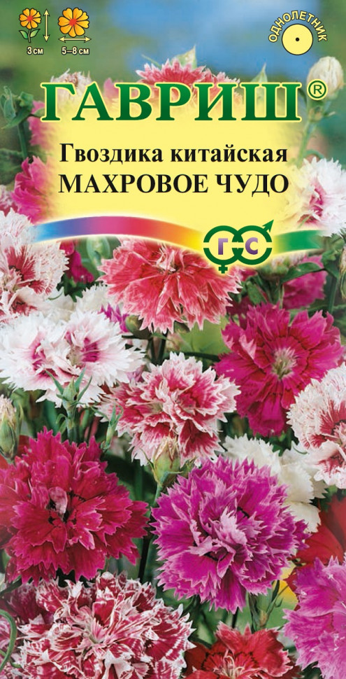 гвоздика китайская махровое чудо смесь однолетник, 0,1 г