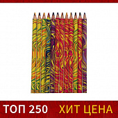 Карандаш многоцветный толстый заточенный CALLIGRATA