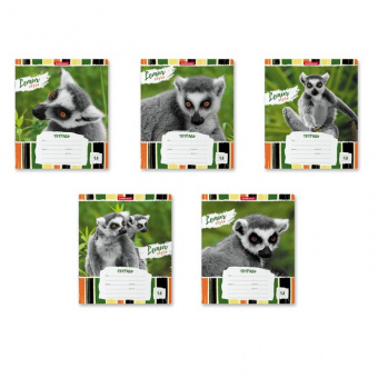 Тетрадь в клетку ErichKrause Lemur Style МИКС 18л
