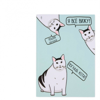 Ежедневник А5 в тонкой обложке Кот 80 листов